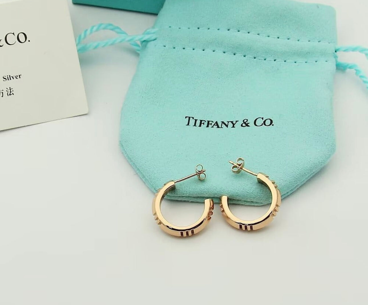 Hoop Earrings