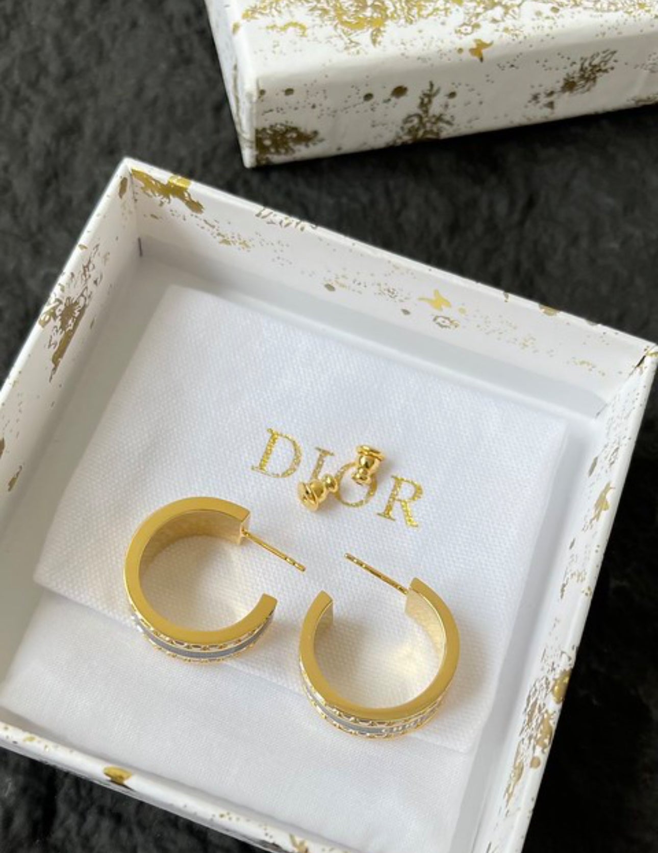 CD Earrings
