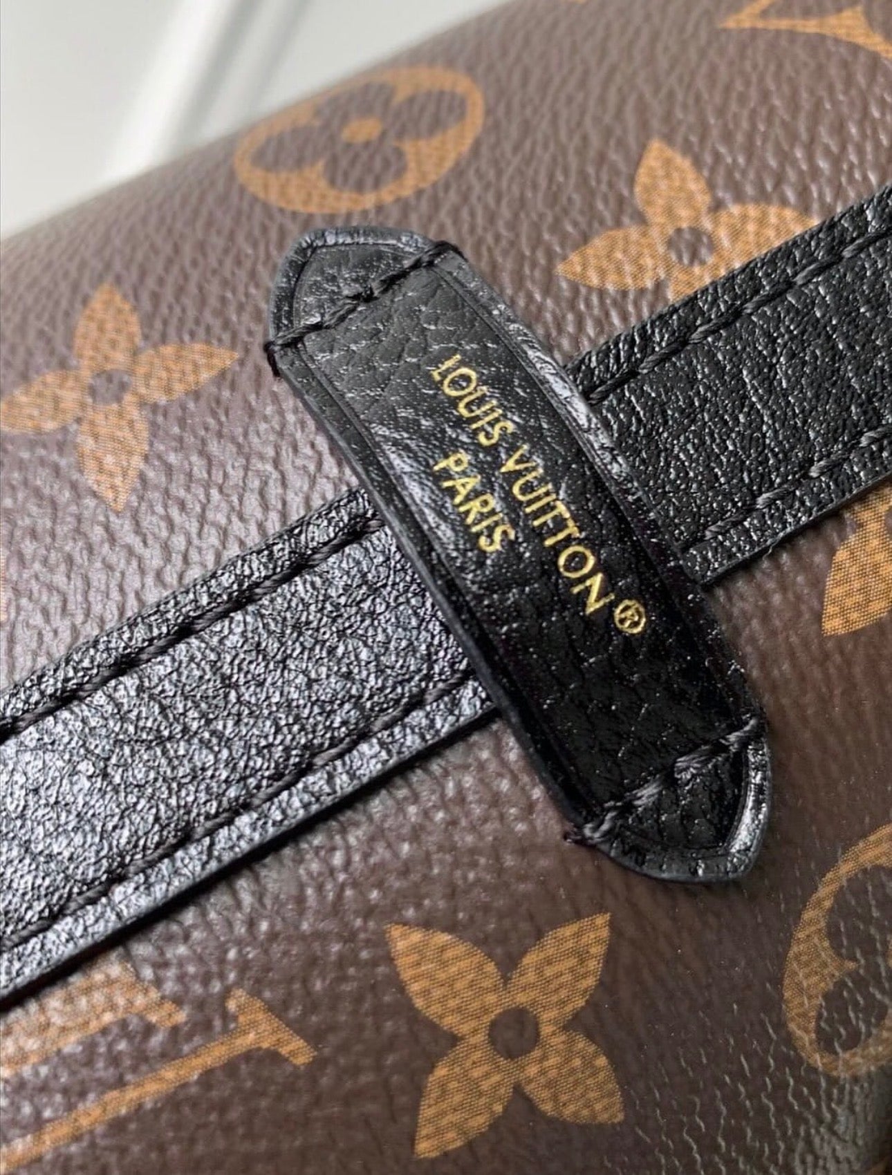 Carryall BB Teddy