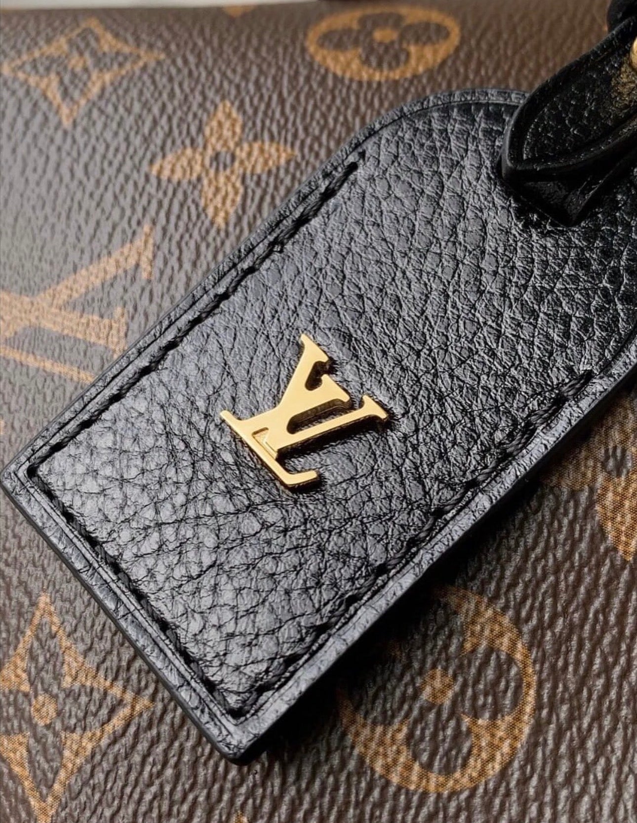 Carryall BB Teddy