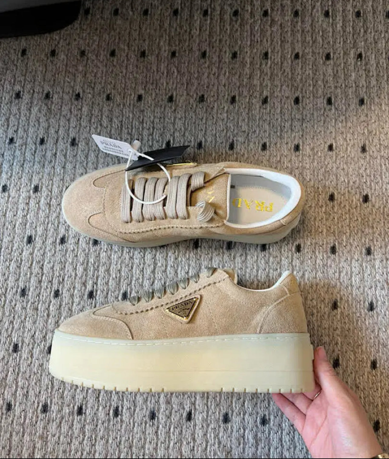 Platform Trainers