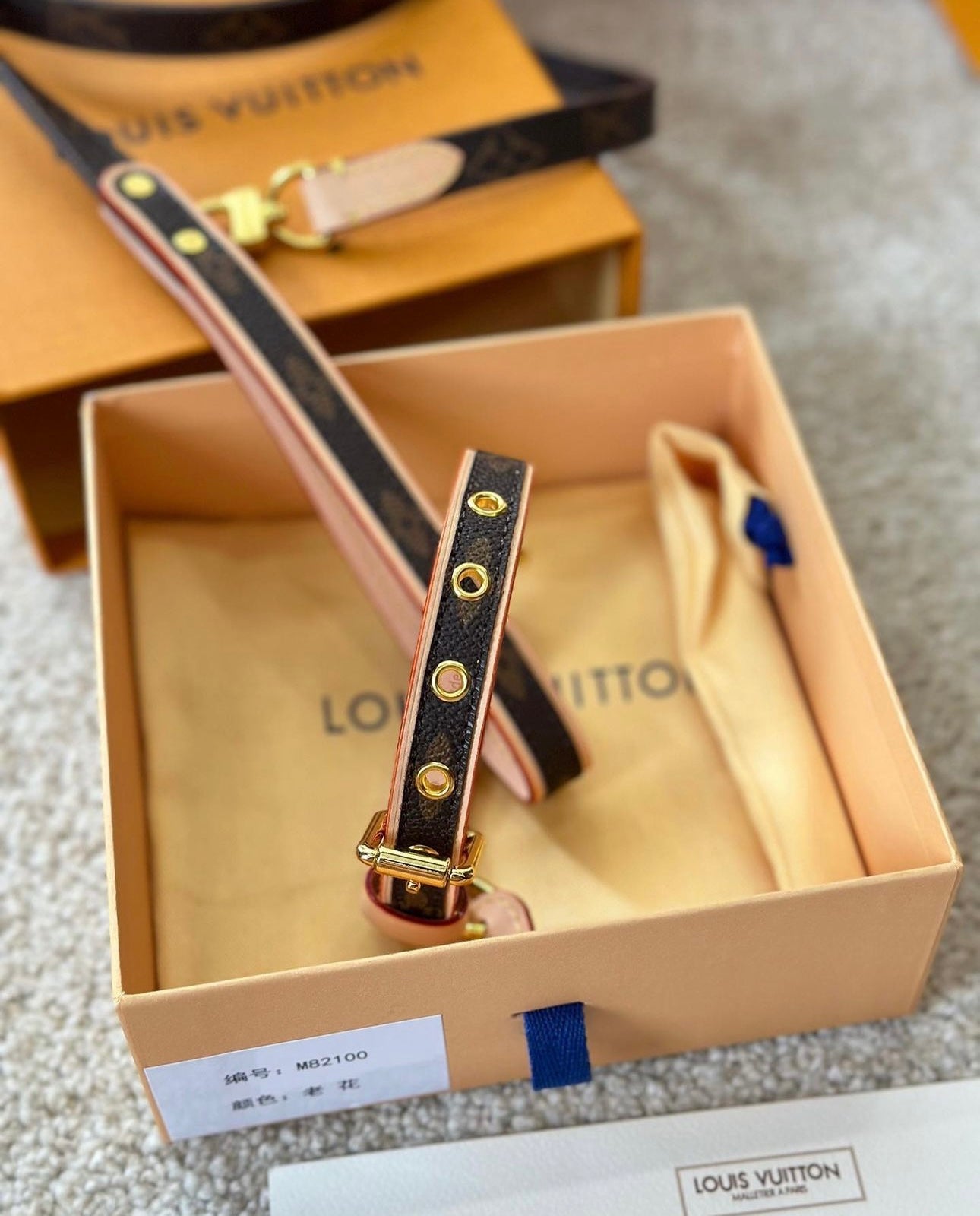 Dog Collar & Lead