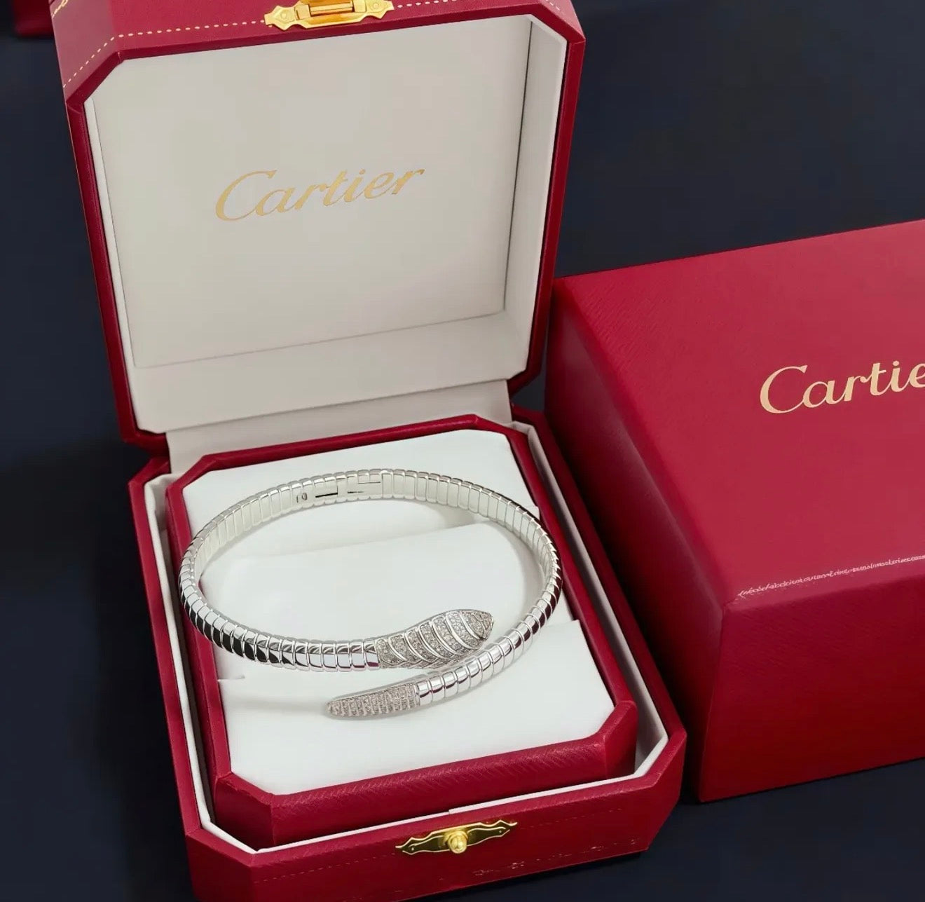 Serpent Bracelet