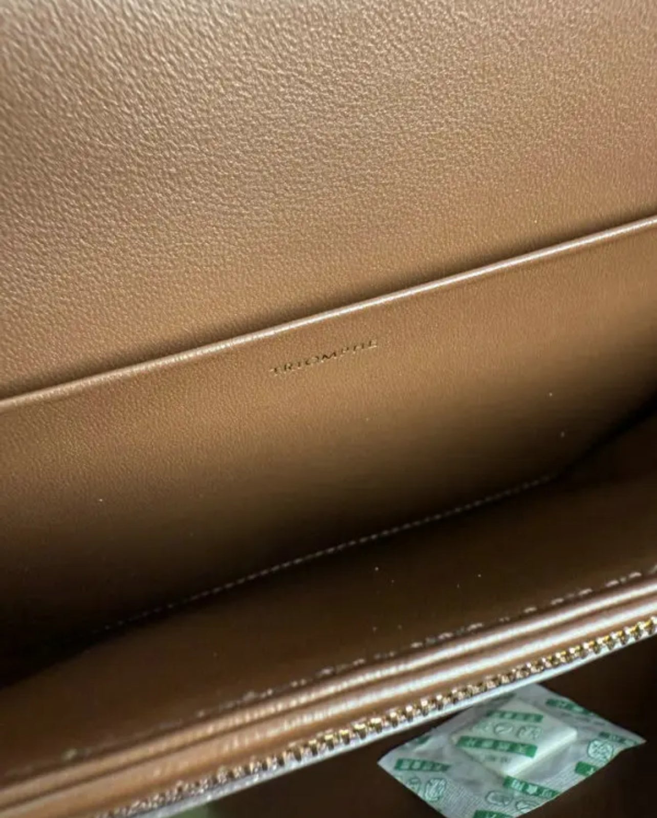 Triomphe Suede