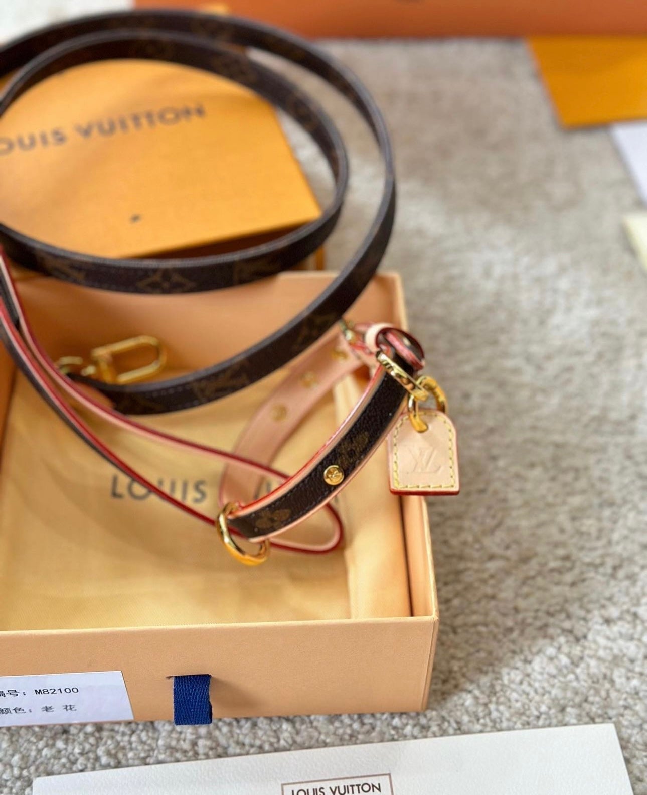 Dog Collar & Lead