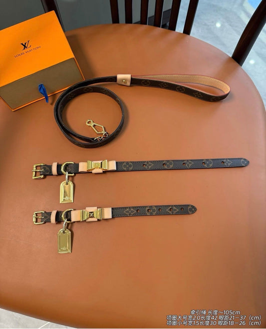 Dog Collar & Lead