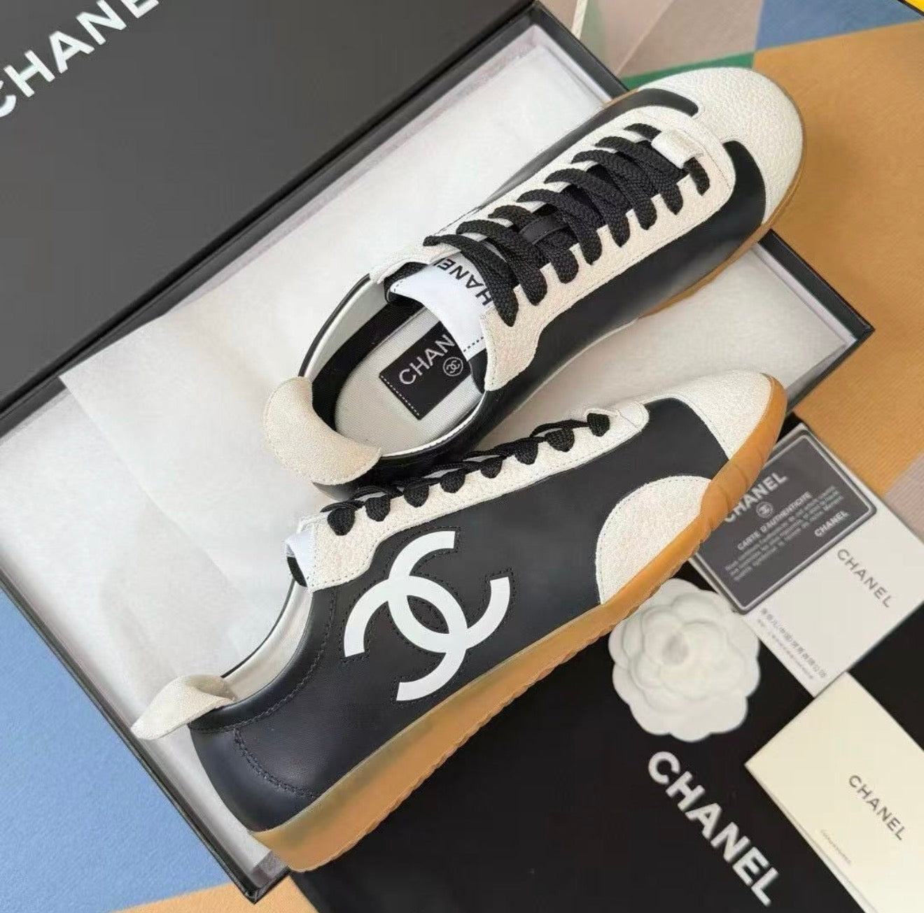CC Trainers