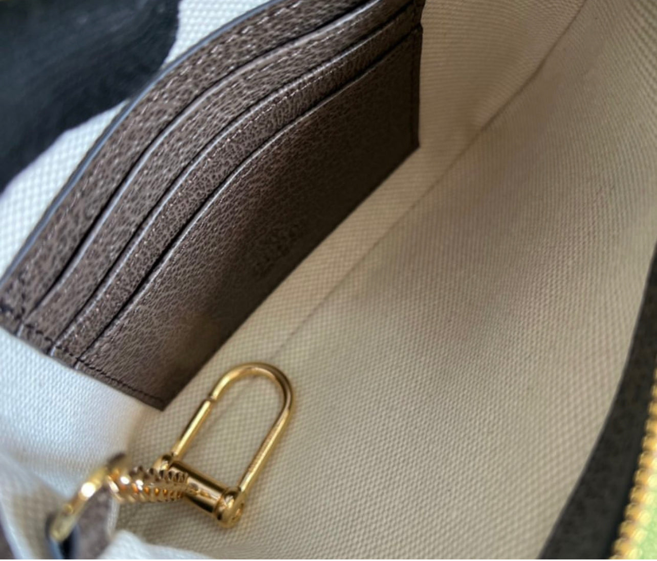 Ophidia Utility Belt
