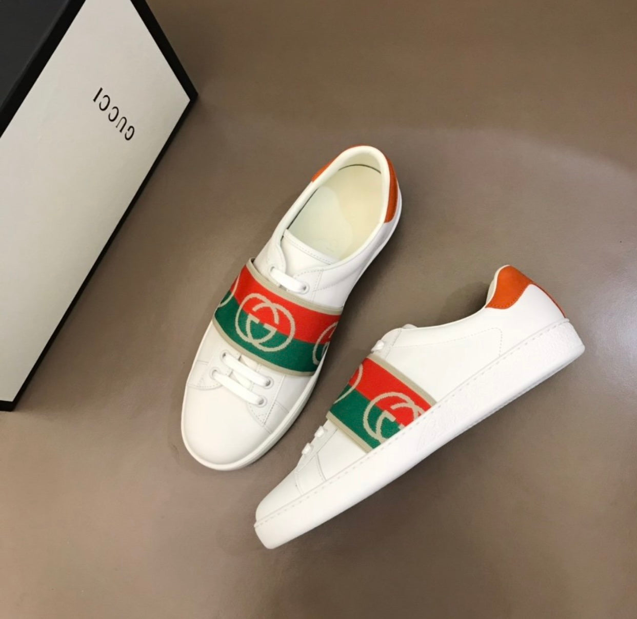 Web Trainers