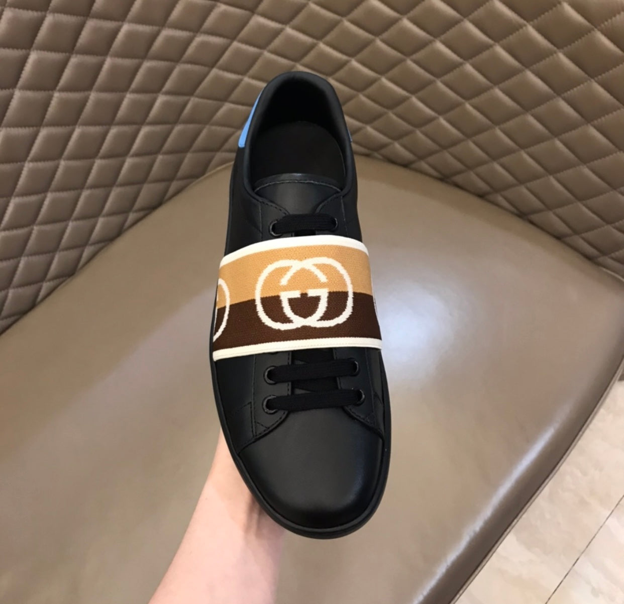 Web Trainers