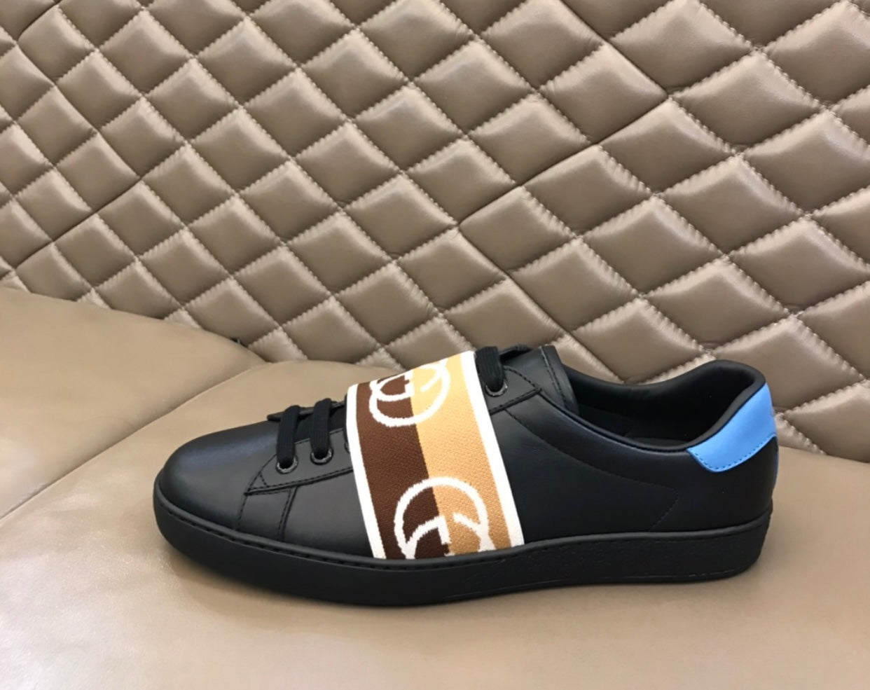 Web Trainers